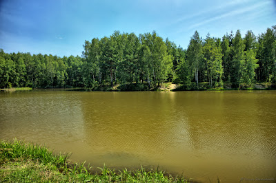 Smolnica - Pond Toń