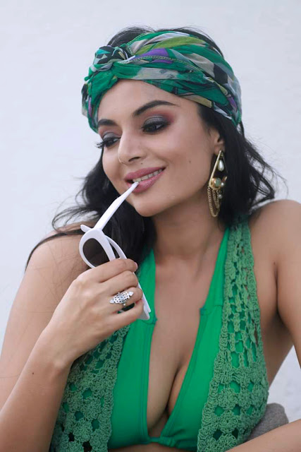 Actress Sanam Shetty Latest Hot Photos