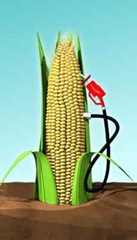 Corn Ethanol