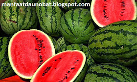 khasiat buah semangka untuk ibu hamil