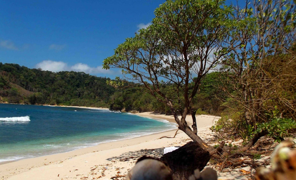 23 Daftar Pantai Di Tulungagung Jawa Timur