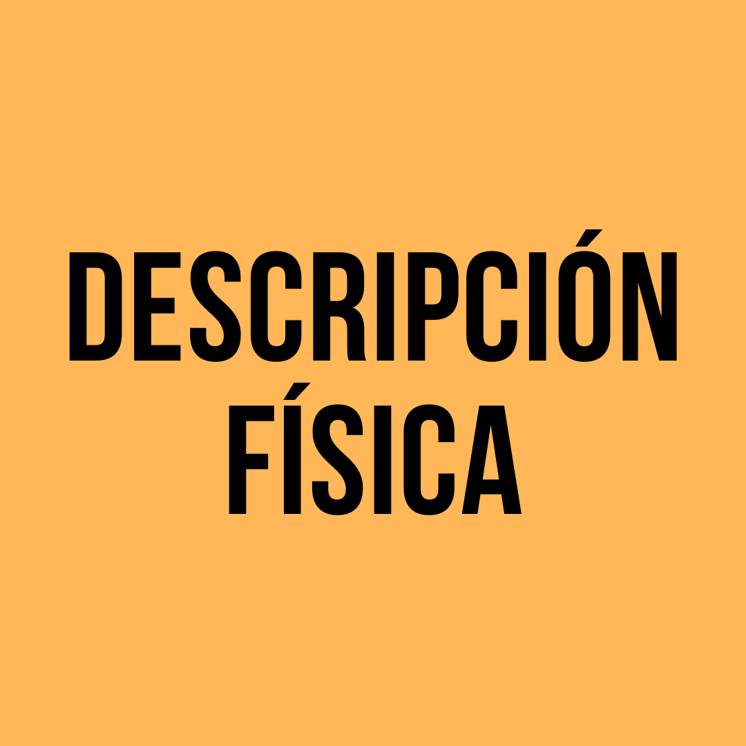 descripción física