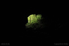 IMG_1460