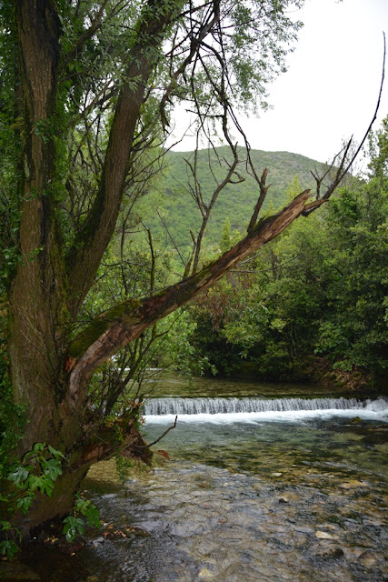 Ljuta River Croatia