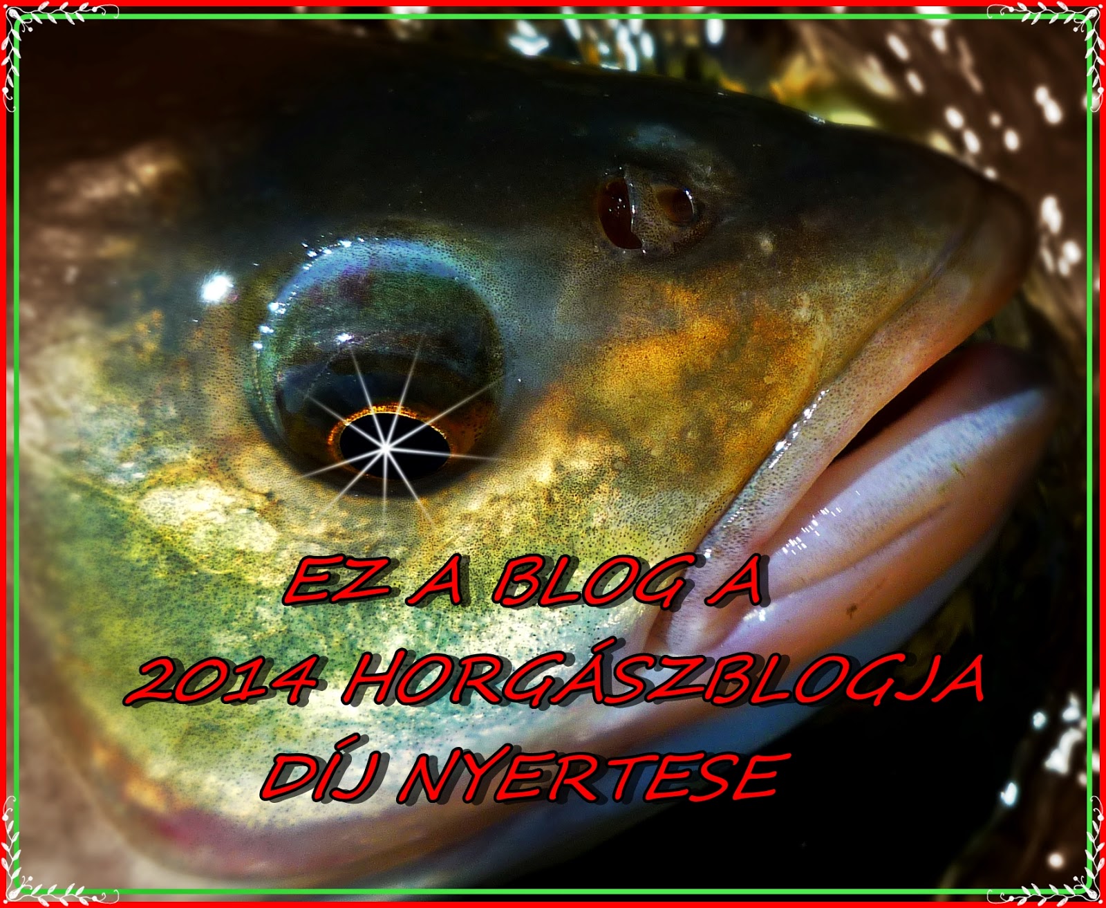 halaszihorgasz.blogspot.hu/