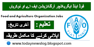 Food and Agriculture Organization FAO Jobs 2023
