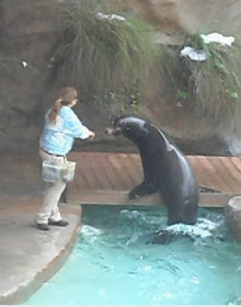 San Diego Zoo