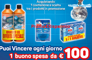 Logo Da Carrefour Mr Muscle e Duck ti regalano la spesa