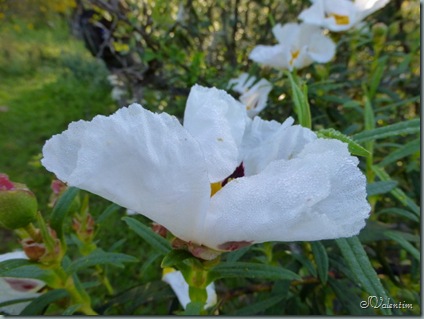 P1020760