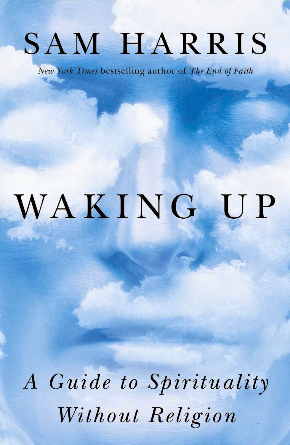 https://www.goodreads.com/book/show/18774981-waking-up