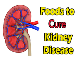 Foods to Cure Kidney Disease