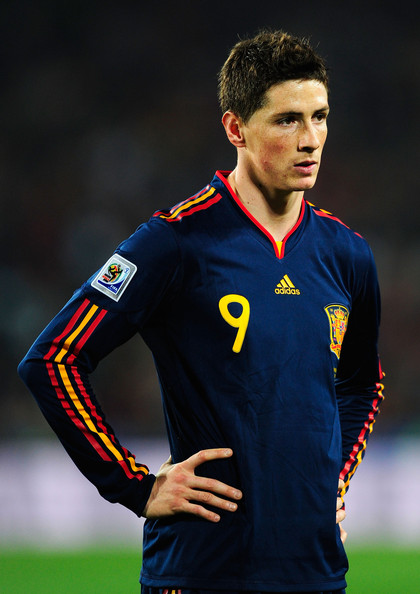 fernando torres spain