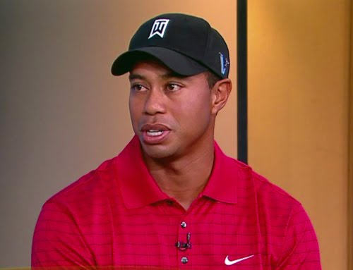 Tiger Woods Quits Sex Therapy