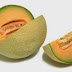 Cara Menanam Melon Yang Tepat Dan Baik