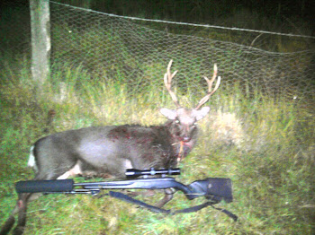 Stag taken on agricultural grounds