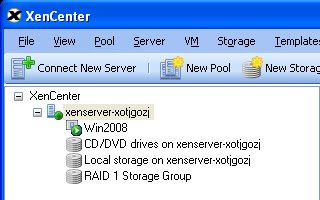 Citrix XenServer console, XenCenter, after adding the new storage device.