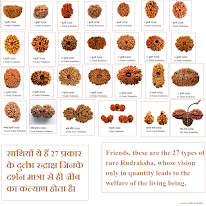 Types of Rudraksha