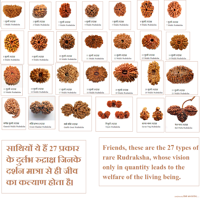 Types of Rudraksha : Name of 27 type of Rudraksha : Image of rudraksha : only4us.in