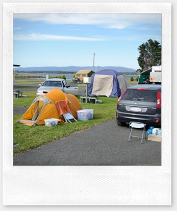 2011_01_03 D18 Low Head, Lavender Farm, Bay of Fires 001