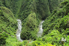 Green Horseshoe bend - in tropical forests near Batad, Philippines