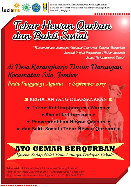 Tebar Qurban Sinergi Lazismu Jember dan Kom. IMM Agrobistek UMJ