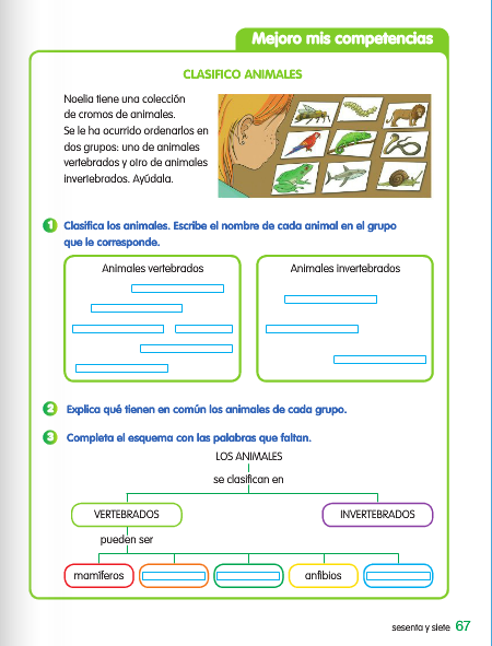 imagenes de animales vertebrados e invertebrados - [FLASH]vertebrados e invertebrados Cienciasnaturales