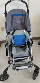 Adaptive Stroller image