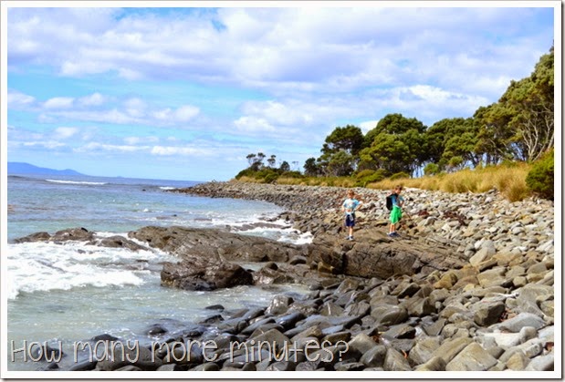 How Many More Minutes? ~ Fishers Point Walk, Tasmania, part one