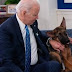 ΣΗΜΑΝΤΙΚΟΣ ΚΙΝΔΥΝΟΣ! Δάγκωσε κι άλλον ο σκύλος του Τζο Μπάιντεν στον Λευκό Οίκο 