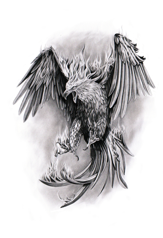 Title GRIFFE TATTOO FEN Size 549x800 3507 Kb tatuajes fenix tatuajes fenix