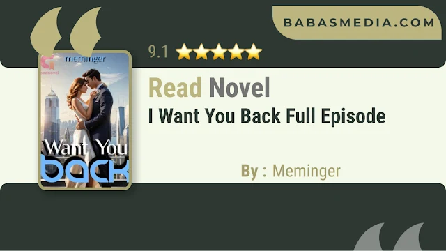 Cover I Want You Back Novel By Meminger
