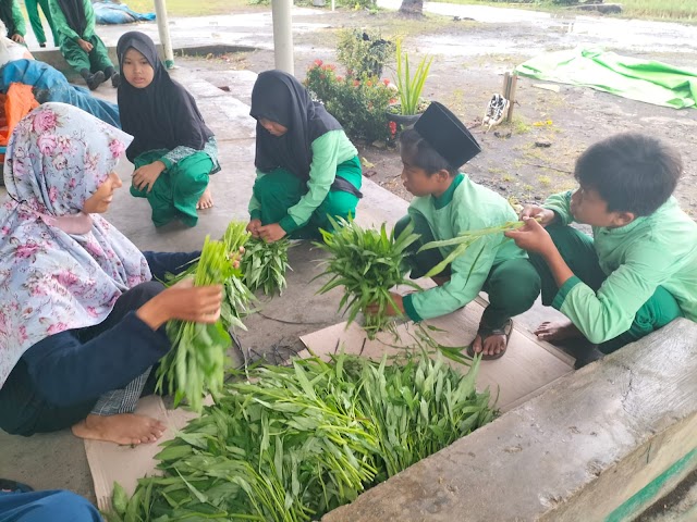 Pengenalan Dunia Pertanian, Begini Kegiatan P5 SMP VIP ASY-SYAFIYYAH Purworejo