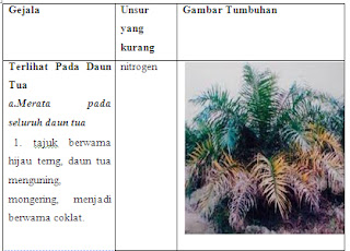 FISIOLOGI TUMBUHAN ~ KITA CARI SAMA SAMA, karena bersama 