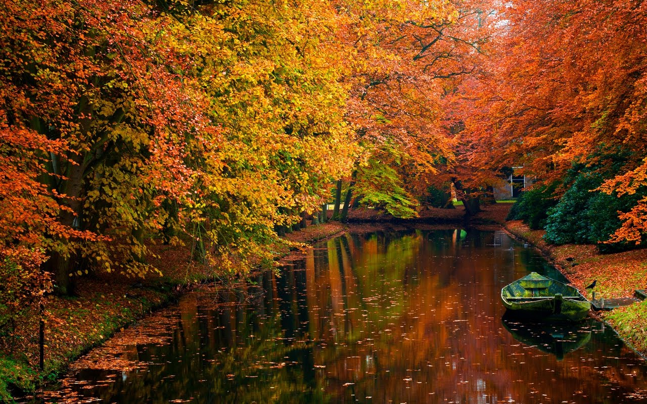 Autumn Landscape - Nature Wallpaper Hd Desktop Wallpaper