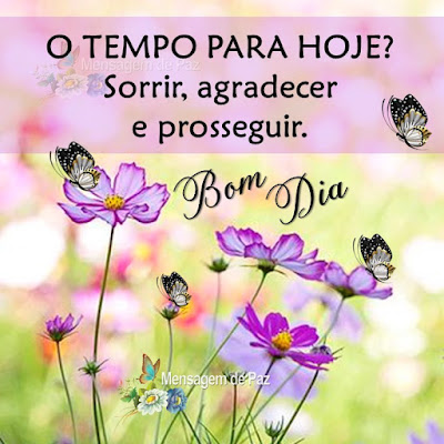 O TEMPO PARA HOJE? Sorrir, agradecer e prosseguir. Bom Dia!