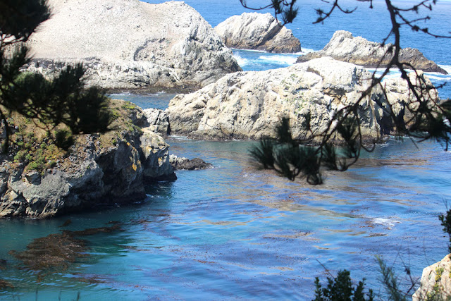 Point Lobos State Reserve, China Cove, Nature Photography