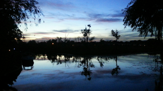 BEAUTIFUL SERENE WATER SETTING