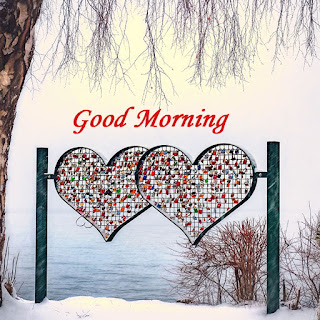 Good morning hd wallpaper, Good morning wallpaper for love, Good morning wallpaper, Good morning love images, Good morning hd images for whatsapp, Good morning hd wallpaper download, good morning love images for girlfriends