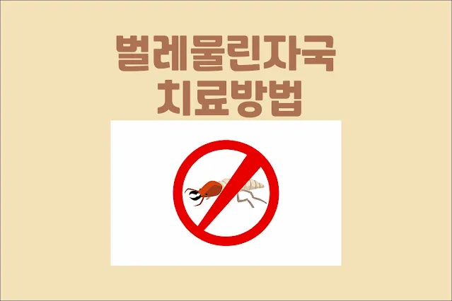 벌레-물린-자국-치료-방법