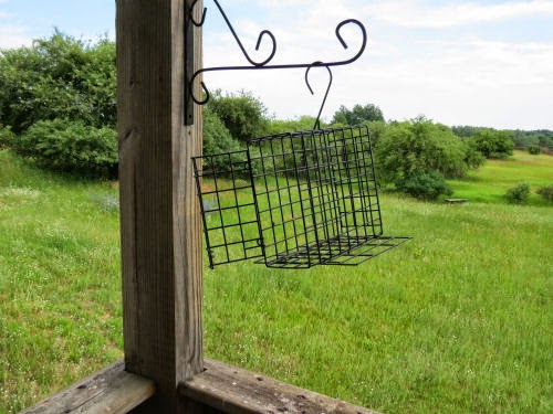 empty bird feeder