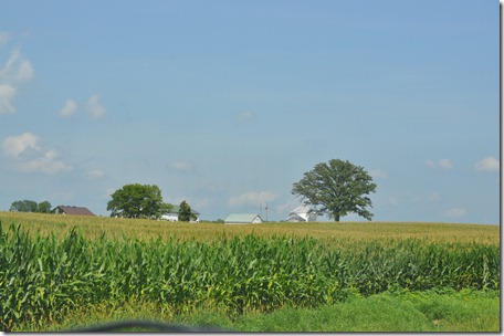 Indiana 011