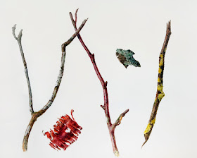 Twigs, bark and lichen painting
