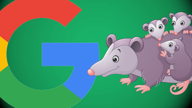 Everything you need to know about Google’s ‘Possum’ algorithm update by world web solutions indore 