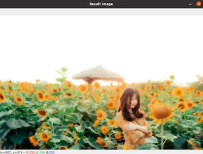 applying bilateral filtering to an image using opencv python