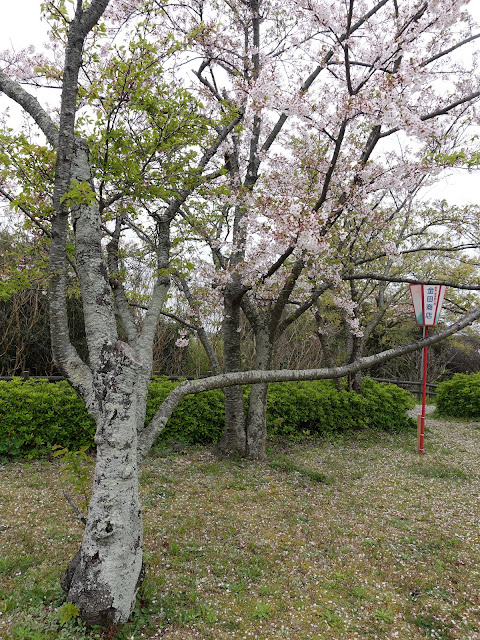 鳥取県西伯郡大山町御来屋　名和公園