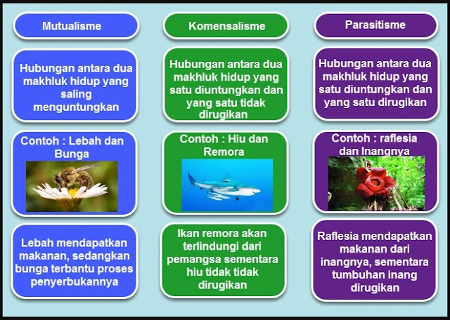 kelas 5 tema 5