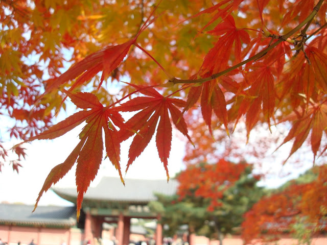 Autumn Korea