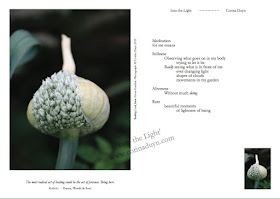 page from Into the Light by Corina Duyn. showing leek flower head and quote by Corina Duyn and Kalichi