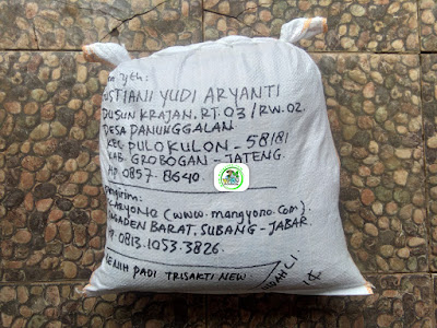 Benih padi yang dibeli   AGUSTIANI Grobogan, Jateng.  (Setelah packing karung).