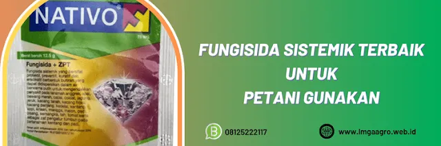 pestisida,pestisida jenis fungisida,fungisida sistemik,obat jamur,obat cendawan,lmga agro